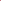 Zeenat Mustard